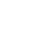 Tosun Ayakkabı logosu